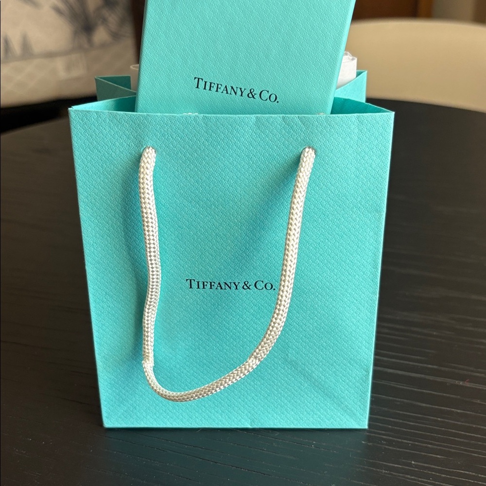 Tiffany & Co. Turquoise Complete Gift Packaging (empty) - Picture 3 of 9